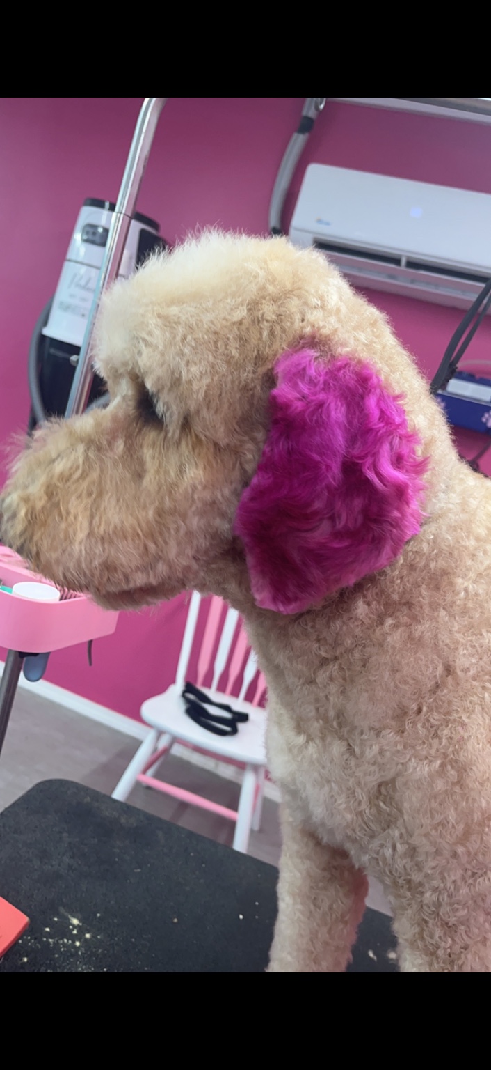 Creative grooming example one