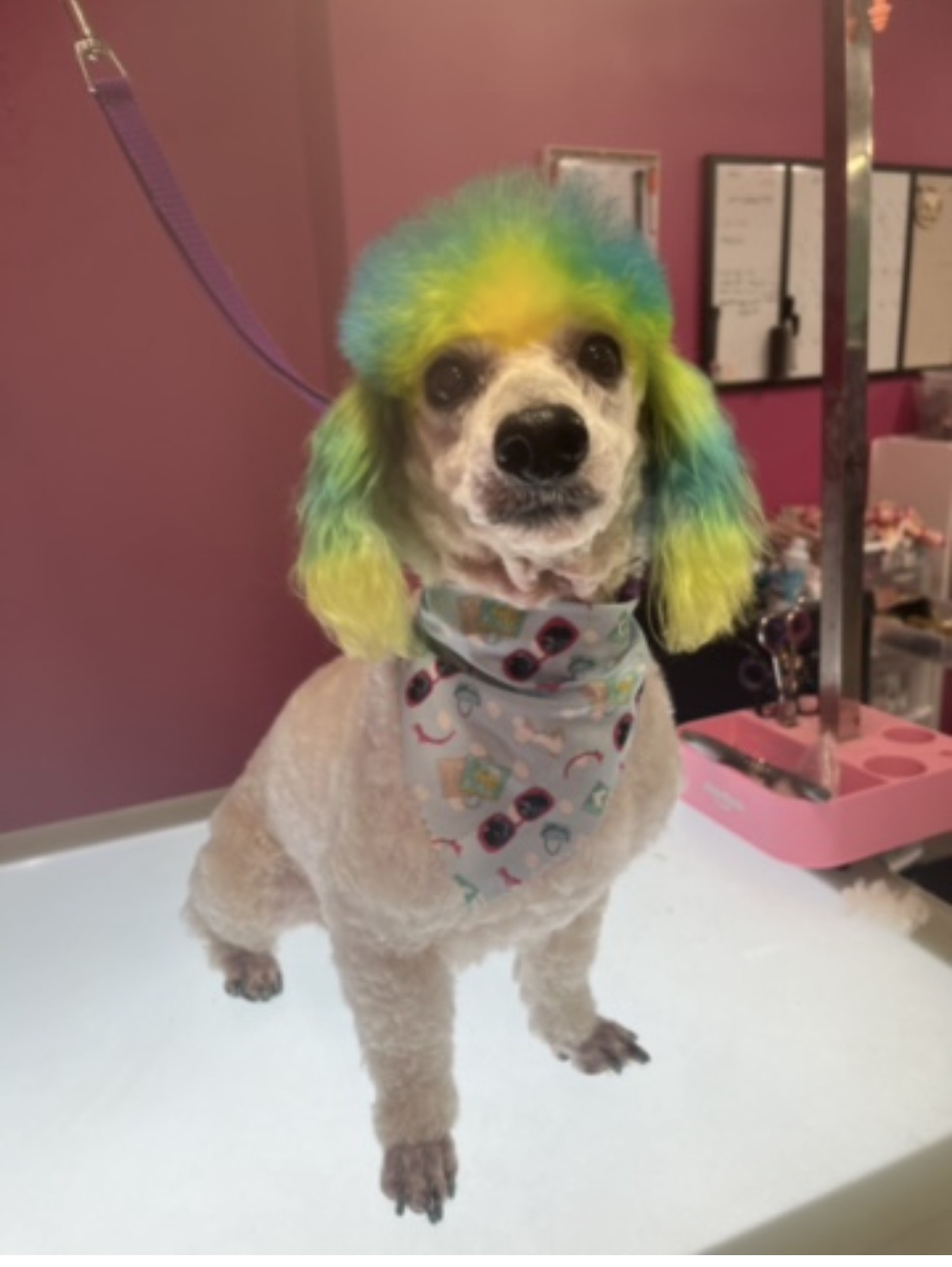 Creative grooming example three