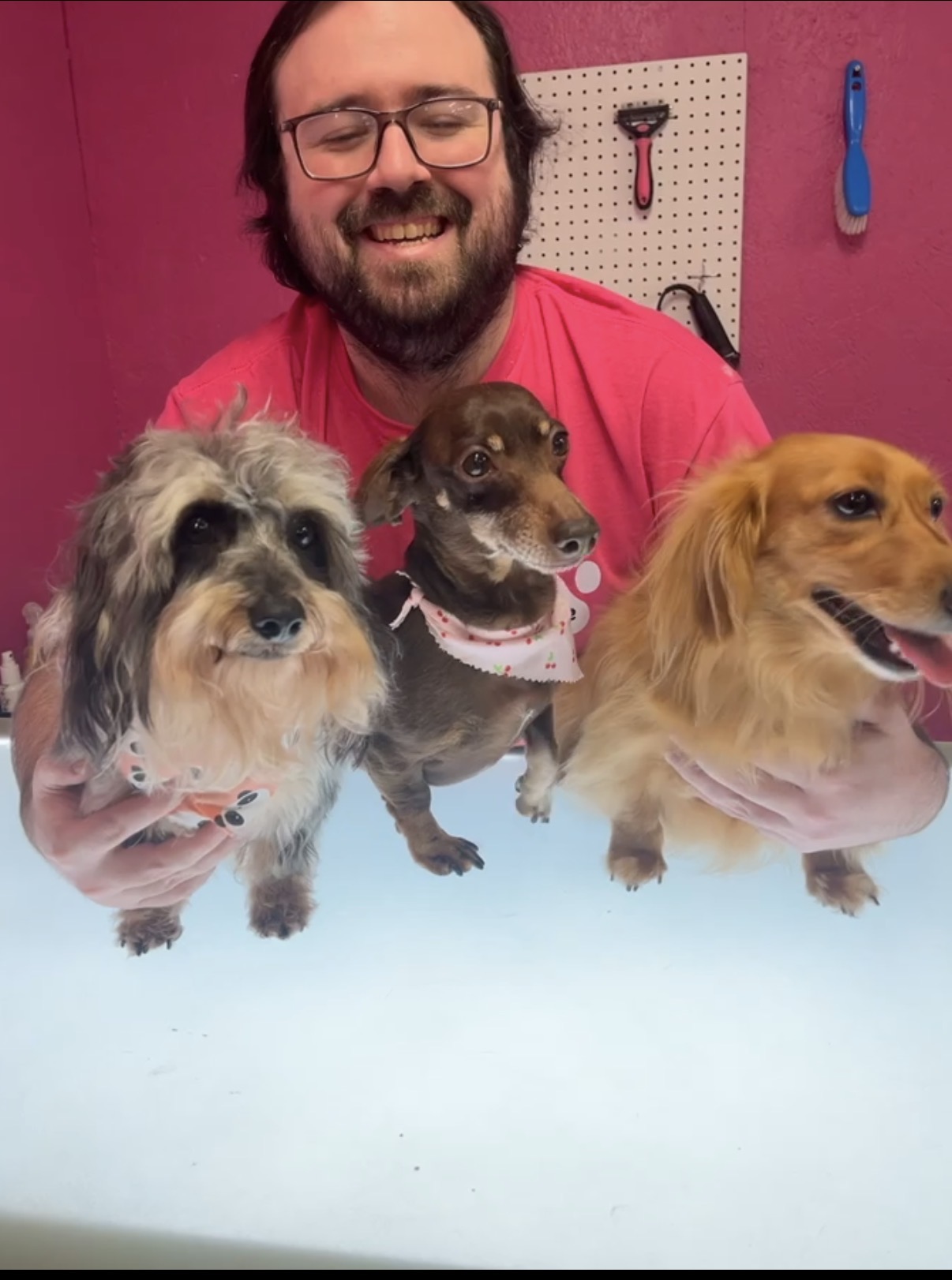 Kyle holding three dogs