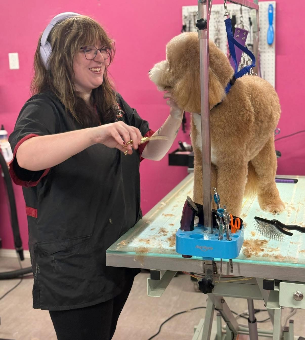 Chloe grooming a dog